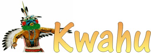 Eagle (Kwahu) Kachina logo